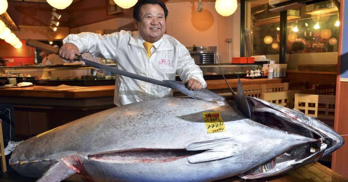 weer dik zwaard Record: tonijn voor 1,3 miljoen geveild in Japan | Buitenland | AD.nl