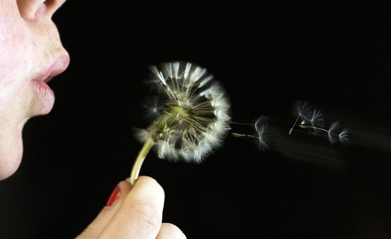 Hay fever patients suddenly have sneezes more often.  How did that happen?