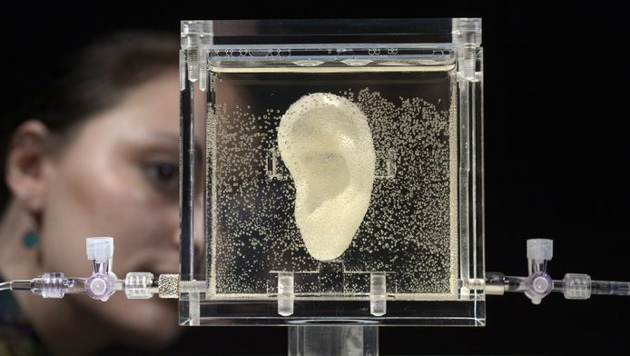 Oor Van Van Gogh Opnieuw Opgekweekt Bizar Ad Nl