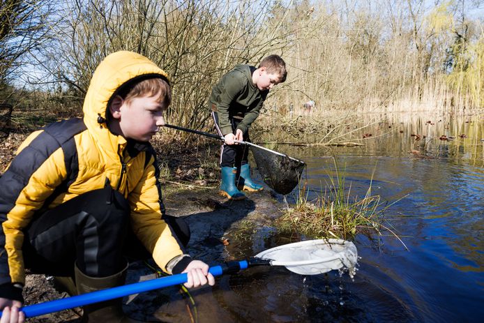 Boswachter John Sips neemt jong en oud mee op amfibieënsafari op Landgoed Oosterheide. De kikkers, padden en salamanders komen uit hun winterrust. Op deze foto: Bas en Huib (gele jas).