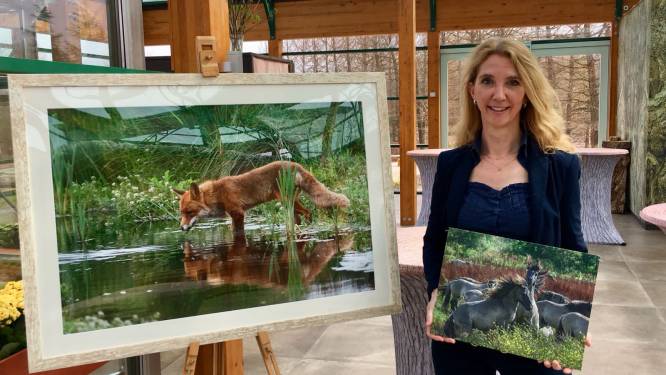 Heilzame natuurfoto’s van Yvette van den Berg