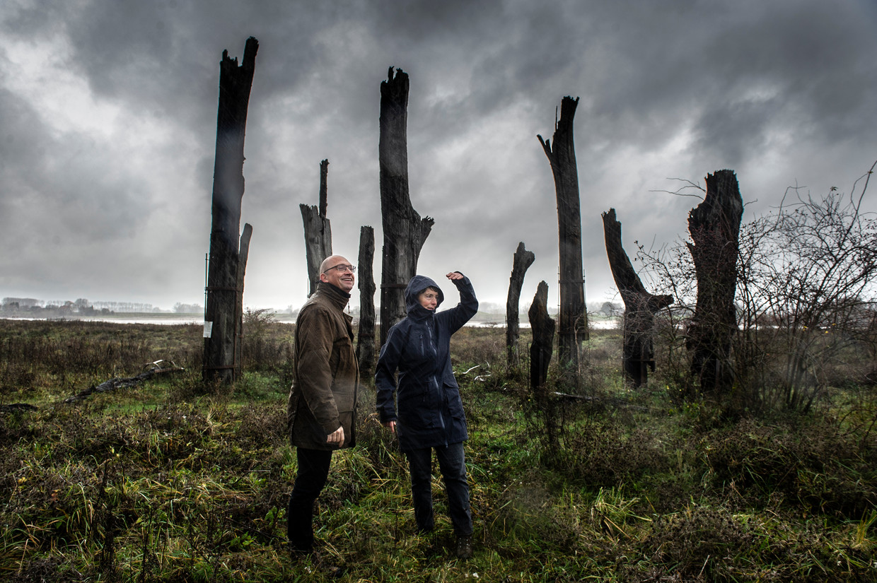 Milieufilosoof Martin Drenthen (auteur van 'Natuur in mensenland') en biologe Roelke Posthumus (auteur van 'Heibel in de polder'). Beeld Koen Verheijden