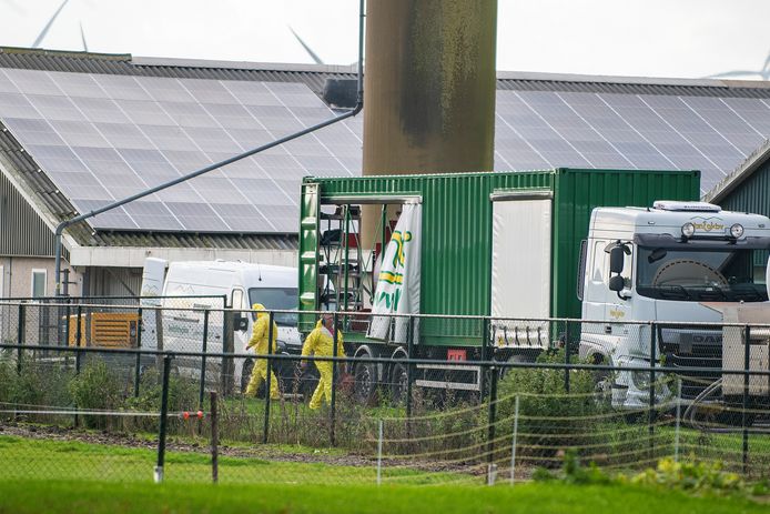 Bij een boerderij in Zeewolde werd eerder deze week vogelgriep vastgesteld en dat heeft ook gevolgen voor andere bedrijven, zoals in Barneveld.