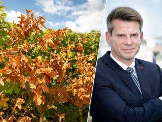 Vijfde droge zomer op zes jaar tijd: “Neerslagtekort inhalen zal jaren duren” 