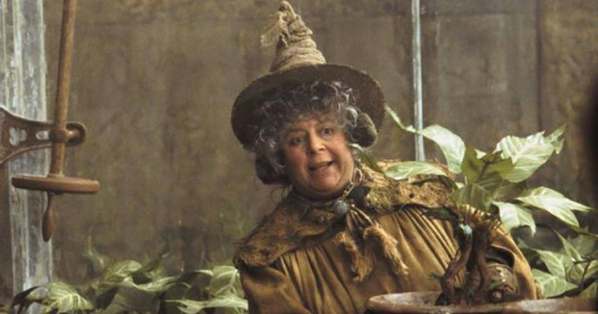 L’attrice che ha interpretato la professoressa Sprout nei film di “Harry Potter” rivela quanto poco guadagna |  Film