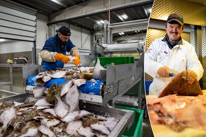 Romeo Rau van de Federatie van Vishandelaars: “Alternatieven genoeg voor de dure tong en kabeljauw.”
