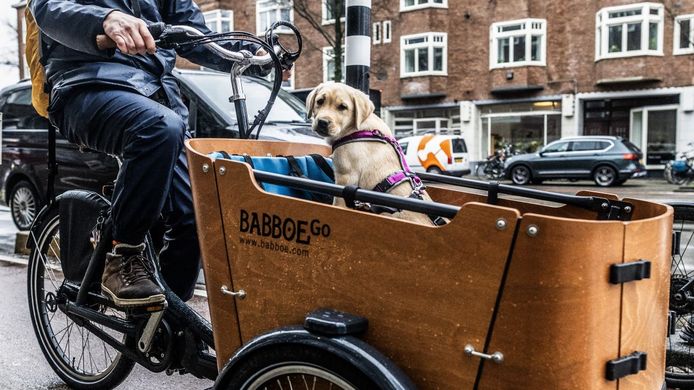 Een bakfiets van Babboe. Het bedrijf moet voorlopig stoppen met het verkopen van zijn bakfietsen, op last van de Nederlandse Voedsel- en Warenautoriteit (NVWA).