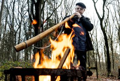 Wandelen en luisteren naar melancholische klanken in Wehlse Bos, om daarna aan de kerstdis te gaan