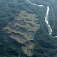 Vredesakkoord in Colombia was een ramp voor het bos