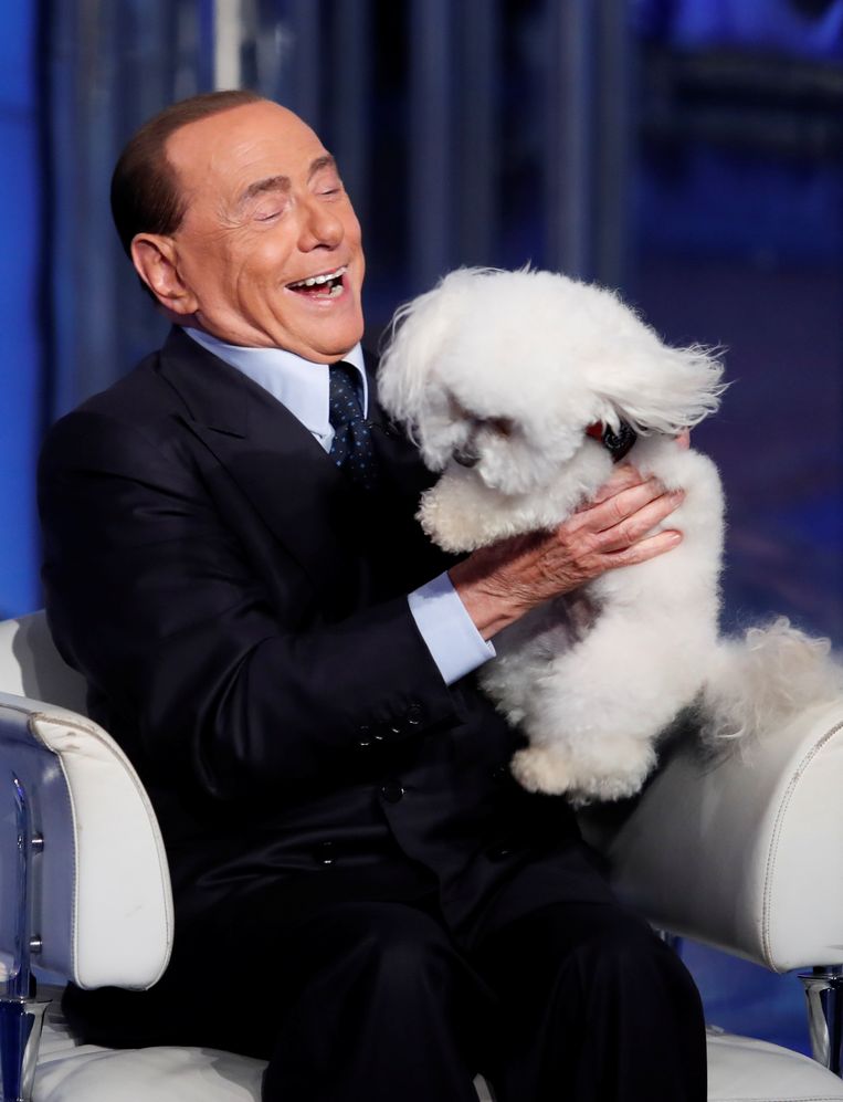 Berlusconi dolt met een hond tijdens de talkshow 'Porta a Porta' in juni vorig jaar. Beeld REUTERS