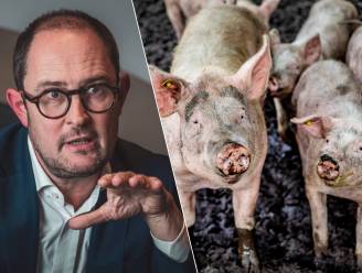Vincent Van Quickenborne (Open Vld): “Dierenwelzijn in de grondwet is levensgevaarlijk”