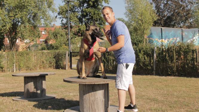 Cinthy wil lievelingshond Laika met operatie redden: “Zij was er op moeilijke momenten voor mij. Nu wil ik er voor haar zijn”