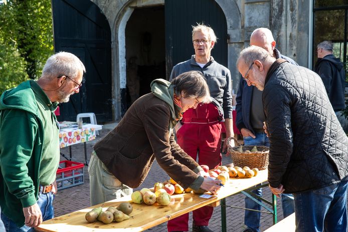 Op zoek naar verdwenen en stokoude fruitrassen langs de IJssel | Olst ...