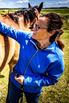 Dorp leeft mee na mishandeling geliefd paard: ‘Buren houden de wei met verrekijkers in de gaten’