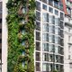 Amsterdam wil radicaal vergroenen: nieuw stadsbos, grotere parken