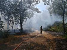 Grote heidebrand in Schijf: ‘Je kon erop wachten dat hier brand zou ontstaan’