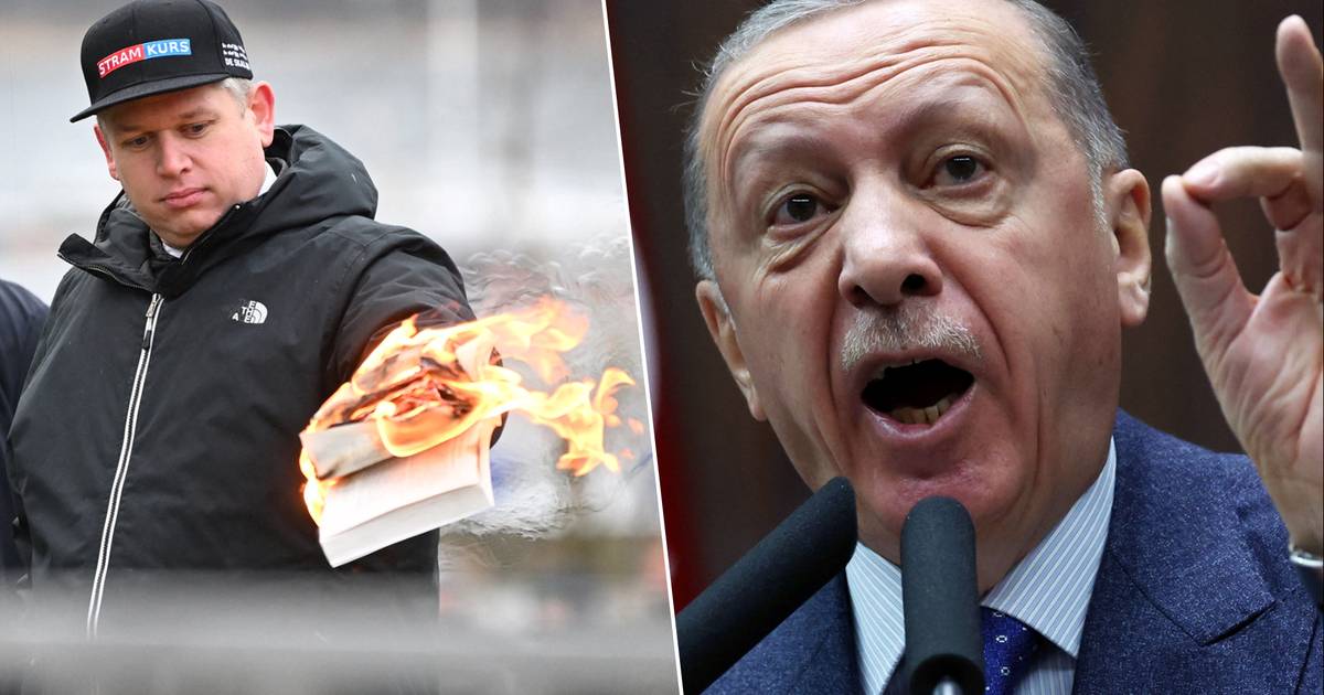 Турция обвиняет Запад в «психологической войне»: «заговор с целью убить туристический сектор» |  За рубеж