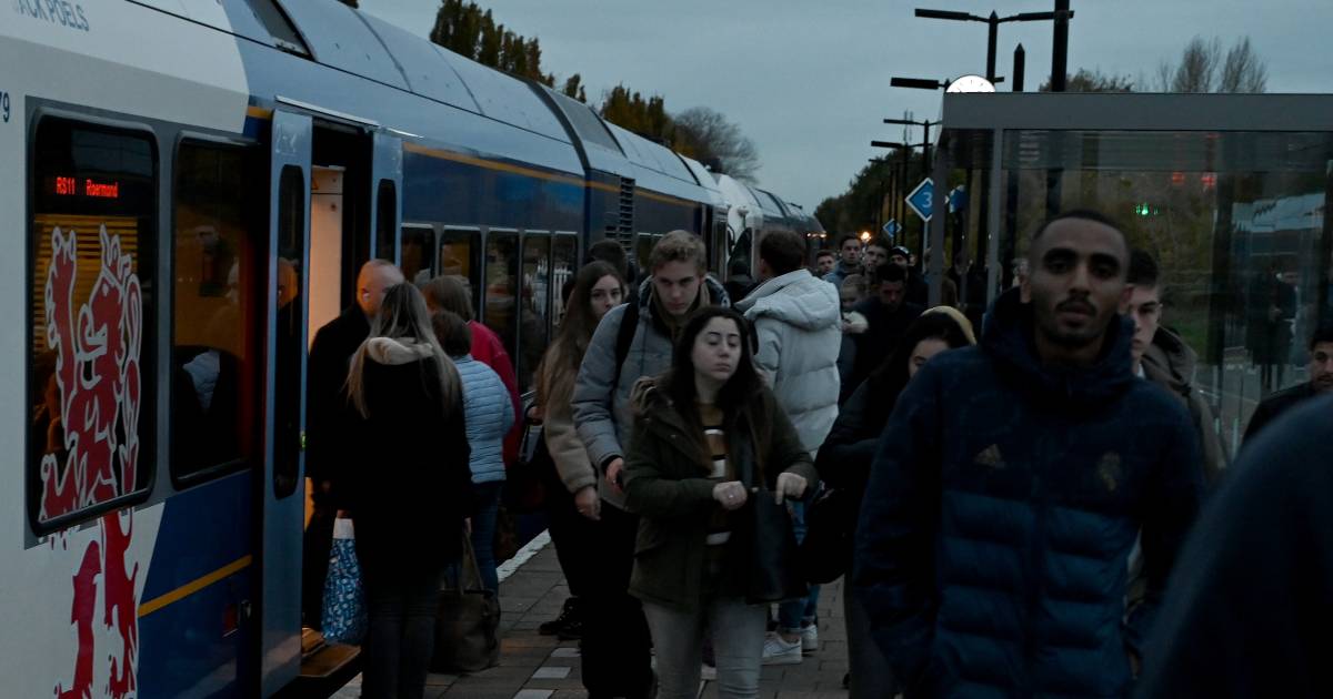 ‘Iedereen cadeaus en deze regio een klapsigaar’