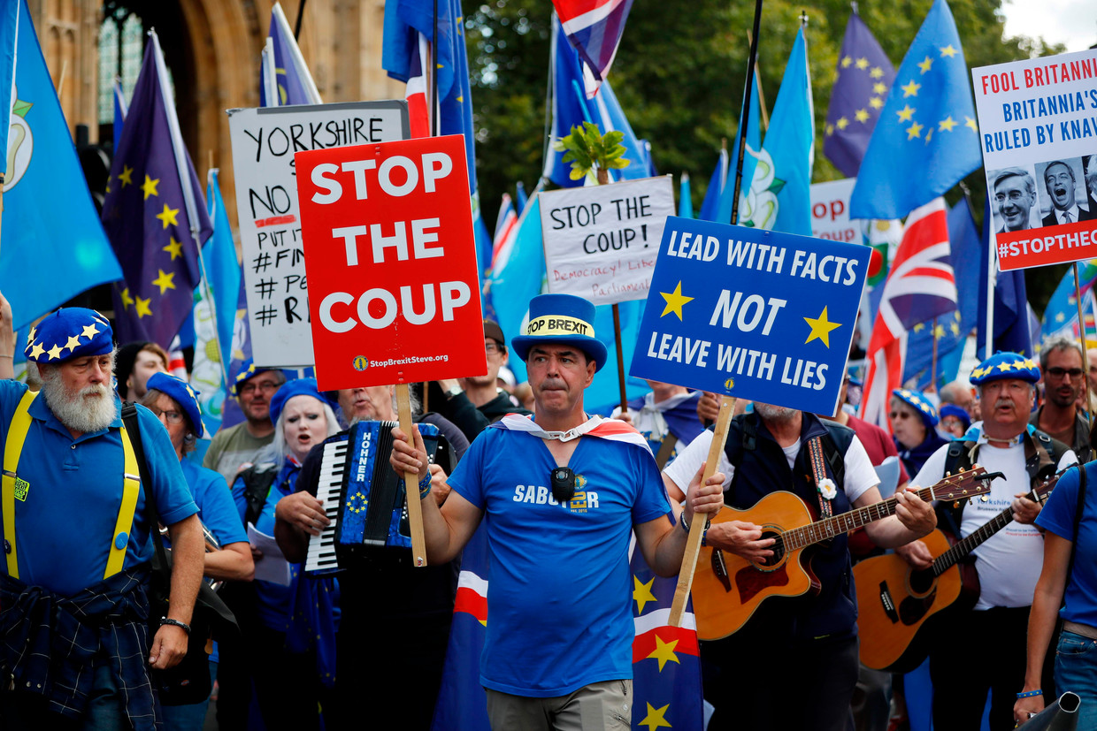 Pro-Brexit-demonstranten bij het Lagerhuis in Londen. 