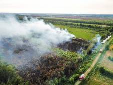 Brand in natuurgebied Deurnsche Peel laait opnieuw op, iets groter vuur maar minder rook dan dinsdag