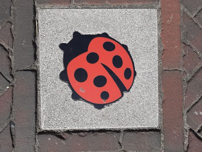 Stoeptegel met lieveheersbeestje, het symbool tegen zinloos geweld. Foto is ter illustratie.