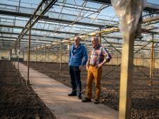 Kassen Huissen maken plaats voor woningen