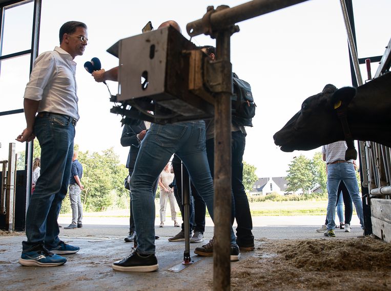 Come Rutte è andata ad ascoltare i contadini della Frisia: scene di una visita vorticosa