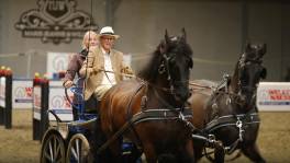 'Met Vier in Bed' gaat paardenmennen met Willy Naessens