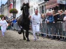 Remco en zijn paard doen mee met de paardenkeuring in Vianen: ‘Dit is hét evenement van het jaar voor mij’