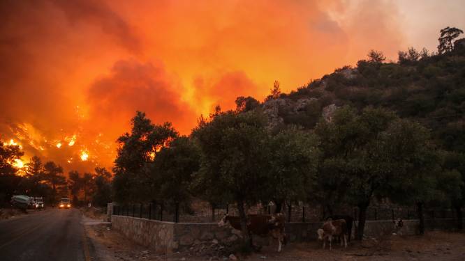 Climat tendu en Turquie où le PKK est accusé d’avoir bouté les feux de forêts meurtriers