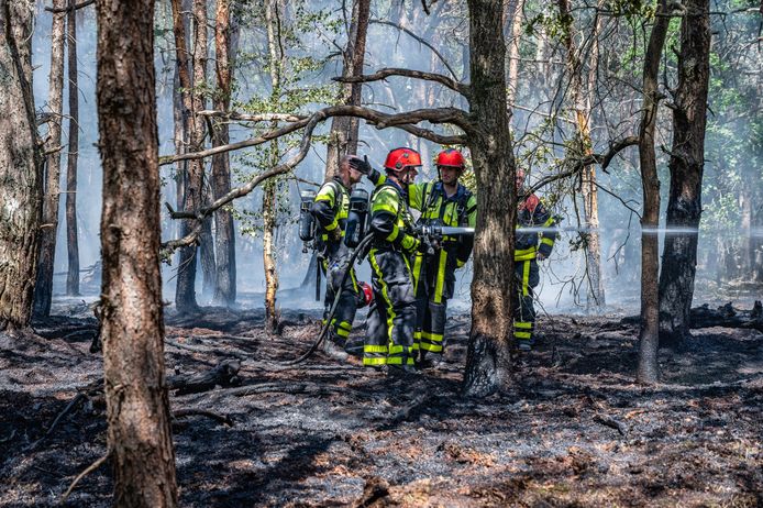 Nabij de Reeshofweg in Tilburg woedde zaterdag een natuurbrand.