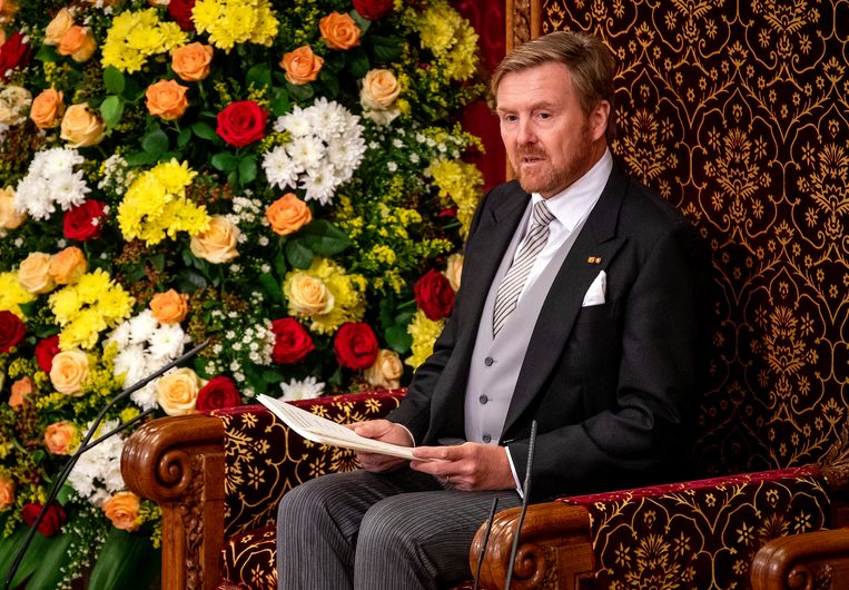 Koning Willem-Alexander tijdens de Troonrede van 2019. Beeld ANP