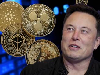 Cryptomunten kortstondig meer waard na opmerking Elon Musk
