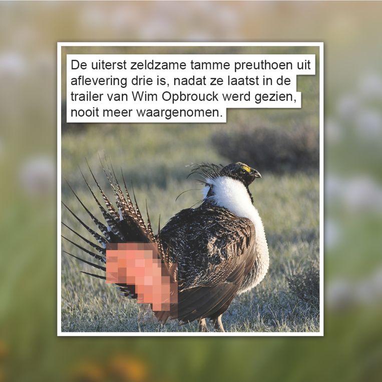Gat van de wereld Beeld GVDW