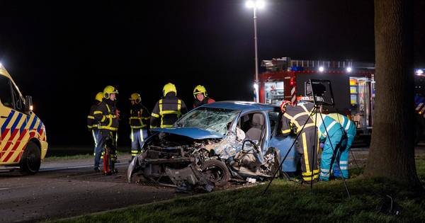2 gewonden bij eenzijdig ongeval in Milsbeek - De Gelderlander