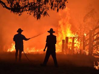 Al 1,1 miljoen hectare grond verwoest bij bosbranden in Australië, nog meer bewoners geëvacueerd