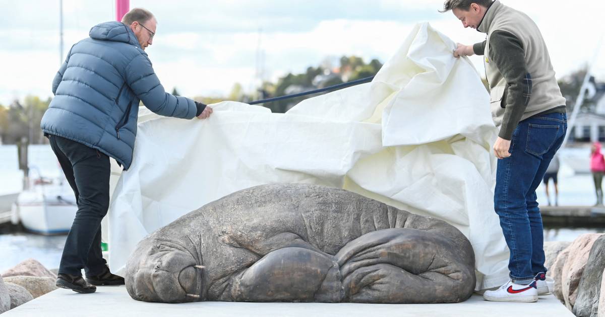Standbeeld van afgemaakte walrus Freya onthuld in Oslo