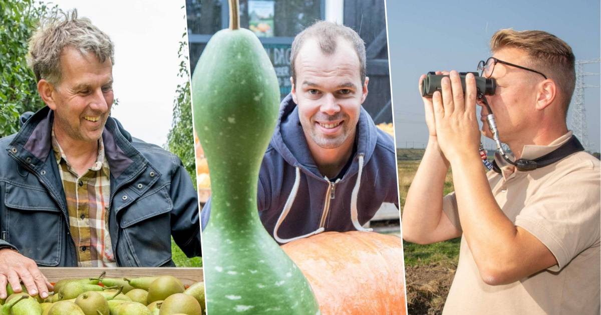Peren plukken, pompoenen oogsten en de lucht vol met spreeuwen: herfst neemt bezit van Zeeland