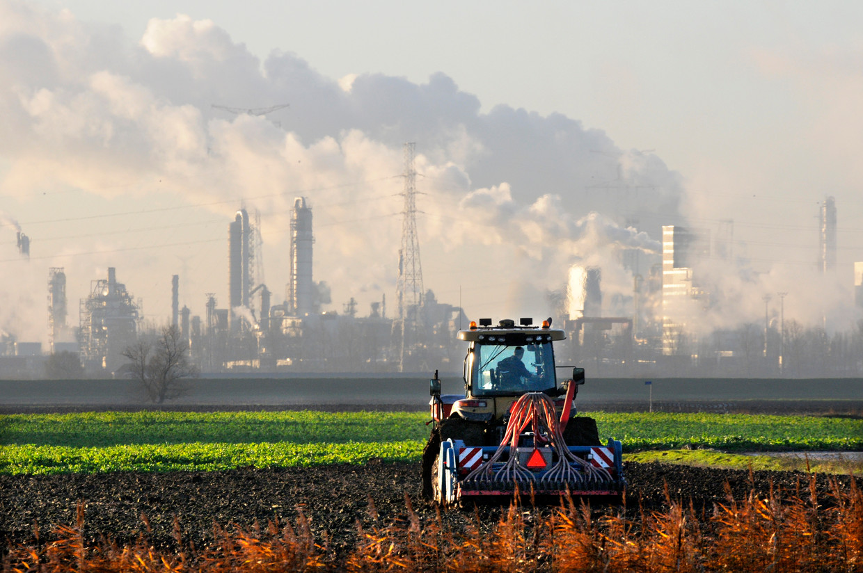 Apakah krisis nitrogen sudah berakhir dan peternakan masih berada di bawah batas maksimum Eropa?