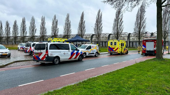 Hulpdiensten rukten woensdagochtend massaal uit voor een reanimatie op de Cornelis Evertsenstraat in Dordrecht.