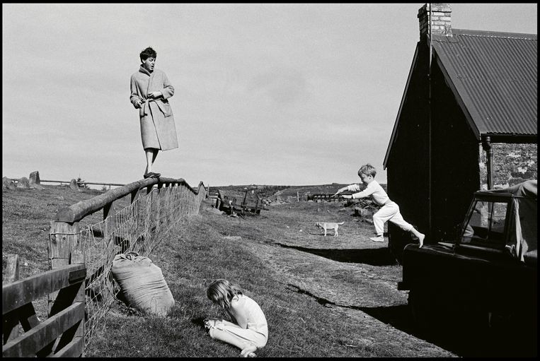 null Beeld © 1982 Paul McCartney / Photographer: Linda McCartney. All rights reserved.