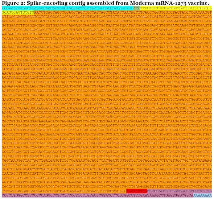 RNA-sequencing Moderna vaccine