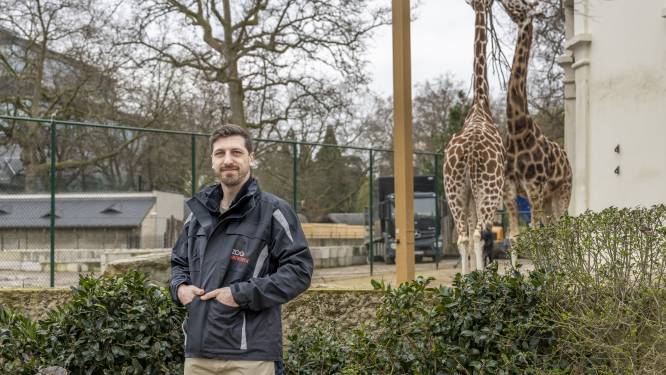 INTERVIEW. Jonas Spruyt (33), de nieuwe dierenarts van de Zoo: “Je stapt niet zomaar op een leeuw af om te kijken wat er scheelt”