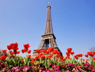 Parijs en vier andere Franse steden verbieden gebruik van pesticiden