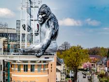 Zeldzame aap is terug in Apeldoorn