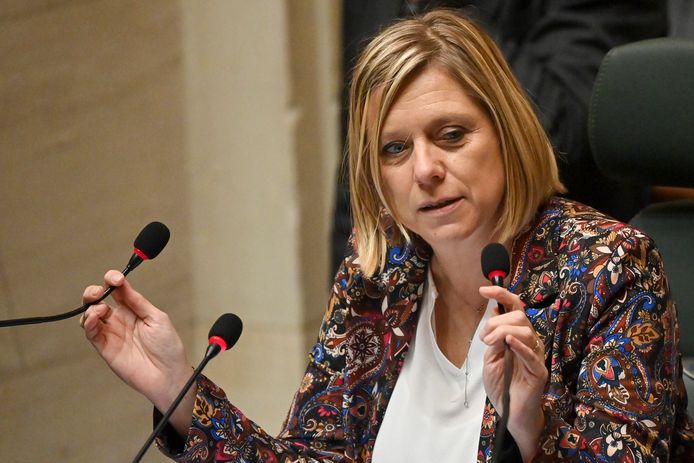 La présidente de la Chambre Eliane Tillieux avait déposé l'an dernier une proposition de loi afin de réduire les dotations aux partis.