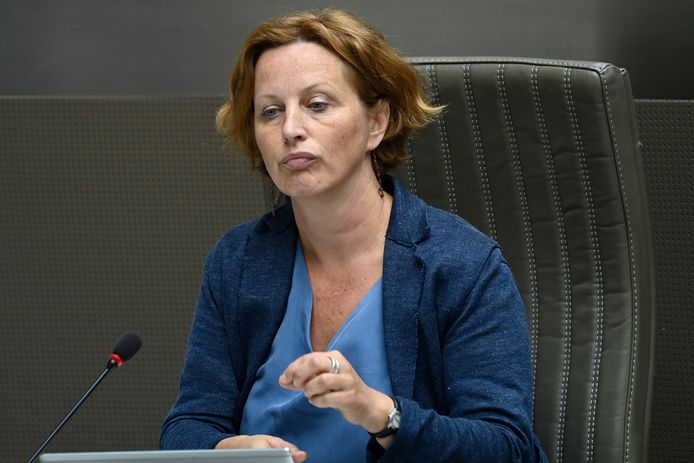 Mieke Schauvliege, Vlaams parlementslid voor Groen.