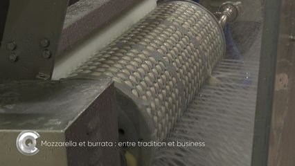 5. Mozzarella et burrata : entre tradition et business