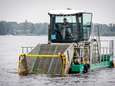 Waterschap maakt afspraken over maaien van waterplanten in de Binnenmaas