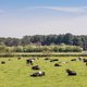 Brusselse natuurplannen zwaar onder vuur; ‘groene waanzin’ zou landbouwsector vernietigen